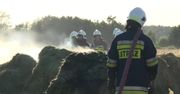 Pożar we Wtórku w Wielkopolsce. Spłonęły przyczepy ze słomą oraz ściernisko