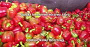 Papryka to witaminowa rekordzistka. Który kolor najlepszy?