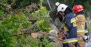 535 interwencji związanych z pogodą ostatniej doby; większość to usuwanie szkód po wietrze