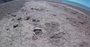 Ślady dinozaura sprzed 99 milionów lat. Odkrycie argentyńskich żołnierzy