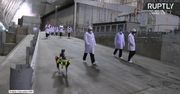 “Spot” pracuje w Czarnobylu. Naukowcy sprawdzają możliwości robotycznego psa