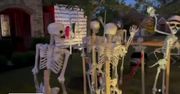 Szkielety tańczące na rurze nie spodobały się jej sąsiadom. Mieszkanka Teksasu musi usunąć halloweenowe dekoracje