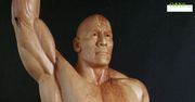 Dwayne Johnson jak żywy, tylko z… dębu. Niesamowite rzeźby celebrytów