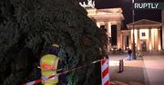 Świąteczna choinka stanęła przed Bramą Brandenburską w Berlinie