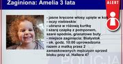 Policjanci poszukują 3-letniej Amelki i jej matki Natalii