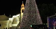 Zapalono lampki na świątecznej choince w Betlejem. W tym roku nie było tłumów z powodu obostrzeń