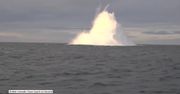 Torpeda z czasów II wojny światowej zdetonowana u wybrzeża Islandii