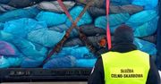 KAS zatrzymała transporty 40 ton odpadów z Niemiec