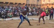 W Nigerii odbyły się mistrzostwa w dambe, tradycyjnej sztuce walki, zwanej boksem dla biednych