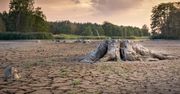 Kryzys klimatyczny większym wyzwaniem niż pandemia Covid