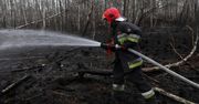 Jakie są straty po pożarze parku Biebrzańskiego?