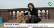 Skradł show, bo ukradł mikrofon. Atak psa na reporterkę rosyjskiej telewizji.