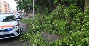 IMGW: burze z gradem we wschodniej i południowej Polsce – wiatr do 100 km/h; na wschodzie również upał