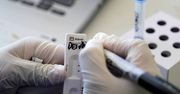 Nowy polski test odporności na COVID-19 badający kilka rodzajów przeciwciał.