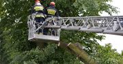 760 akcji związku z usuwaniem skutków burz; 38 tys. odbiorców bez prądu.