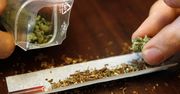 Marihuana jednak może mieć związek z twardymi narkotykami.