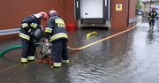Od północy 290 interwencji związanych ze zjawiskami pogodowymi.