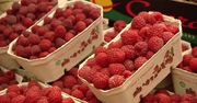 Możesz je jeść do woli! 10 owoców, które zawierają najwięcej wody.