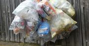 Plastik zalewa świat .