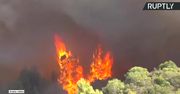 Pożary w Grecji. Ogień podsycają bardzo wysokie temperatury