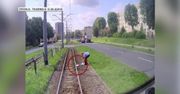 Zauważyła mewę na torowisku. Zatrzymała tramwaj i zaopiekowała się rannym ptakiem