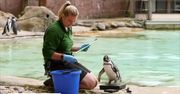 Coroczne ważenie zwierząt w londyńskim zoo.