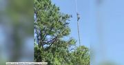 Przycinają drzewa z helikoptera, by nie uszkodziły linii energetycznych