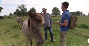 Do zobaczenia w krainie 44 wysp. Co nad Zalewem Szczecińskim jest do zwiedzenia?