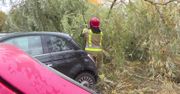 Silny wiatr przewracał drzewa i zrywał dachy.