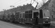 41 lat temu na poznańskie ulice wyjechał tramwaj z 4 wagonami