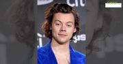 Harry Styles wystąpi na prywatnym Sylwestrze? Może dużo zarobić