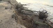 Sztorm podmył klif w Orzechowie. W ciągu kilku dni morze zabrało 8 metrów pasa wybrzeża