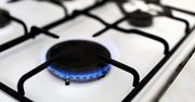 Niemcy: Recesja „prawdopodobna” w przypadku całkowitego zakazu rosyjskiego gazu