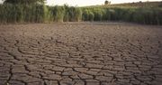 Europejskie rzeki wysychają. Największa od 500 lat susza już uderza w produkcję żywności