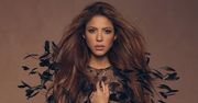 Shakira będzie miała postawionych sześć zarzutów