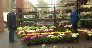 Coraz wyższe ceny zniczy i kwiatów. Im bliżej 1 listopada, tym drożej