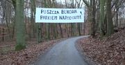 Protest przeciwko wycince Puszczy Bukowej. Aktywiści chcą utworzenia tam Parku Narodowego