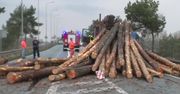 Z naczepy spadły kłody drewna. Uszkodzone cztery auta, są ranni