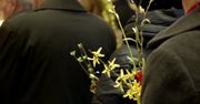 Niedziela Palmowa. Uroczyste wejście w Wielki Tydzień