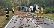 Wypadek ciężarówki z burakami – rozsypany ładunek blokuje drogę