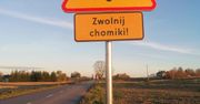 „Zwolnij – chomiki na drodze!”: Nowe znaki ostrzegawcze mają chronić zagrożone gryzonie pod Szczebrzeszynem