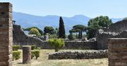 Pompeje ograniczą liczbę turystów: Dzienne limity mają chronić rzymskie dziedzictwo