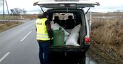 Nielegalny tytoń przejęty przez pilską policję