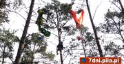 Wypadek na lotnisku. Spadochroniarz na drzewie
