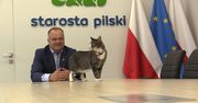 Kotka w starostwie mieszka już 2 lata