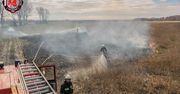 Paliły się trawy koło Białośliwia