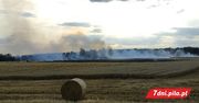 Płonie zboże i ściernisko pod Ujściem