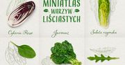 Leksykon warzyw liściastych, czyli zdrowa dawka wiedzy