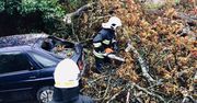 Liczne interwencje straży. Drzewo spadło na samochód
