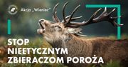 Stop nieetycznym zbieraczom poroża